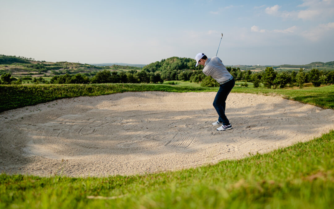 Seapoint Golf Links Termonfeckin